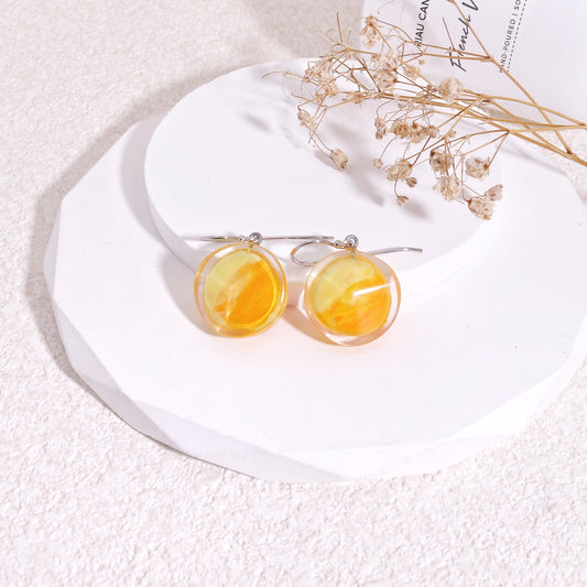 ZSISKA Short Resin Crystal Dangle Earrings
